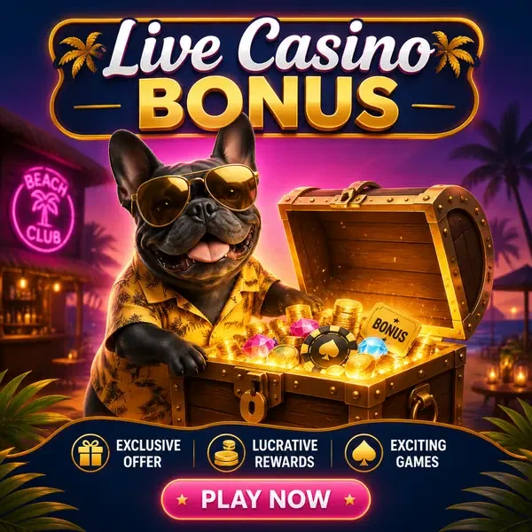 Französische Bulldogge enthüllt triumphierend Live-Casino-Boni bei BaxterBet-Schatztruhe