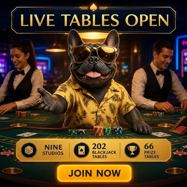 Live-Dealer-Action bei BaxterBet mit professionellen Kartentischen bereit für Spieler